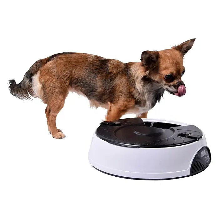 Dobar Futterspender - 31,5 x 31,5 x 9,5 cm, Geeignet für: Hunde & Katzen - Stimmungsaufnahme