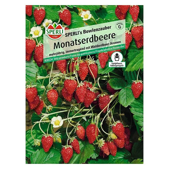 Sperli Obstsamen Monatserdbeere - Fragaria x ananassa, Erntezeit: Mai - Vorderansicht