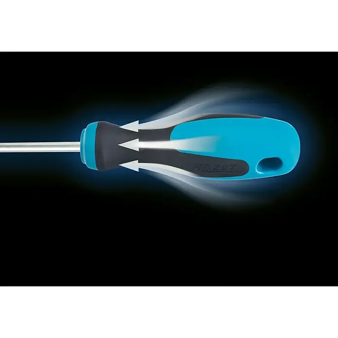 Hazet Schraubendreher-Satz 810T/6 - 6 -tlg., Geeignet für: TORX®-Schrauben - Detailaufnahme