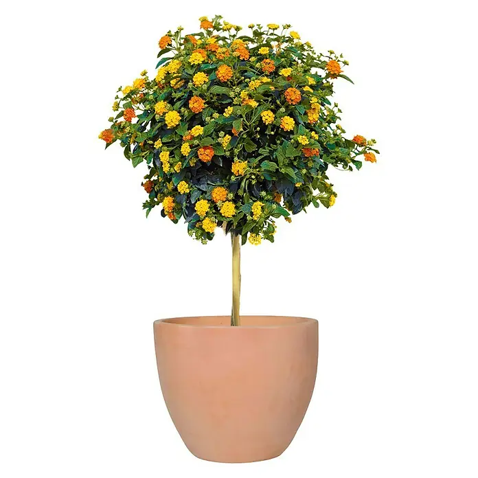 Pflanztopf Messina - Außenmaß (Ø x H): 48 x 40 cm, Naturmaterialien, Tonweiß