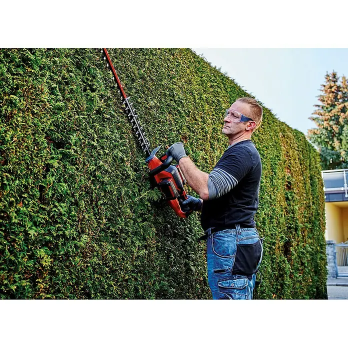 Einhell Power X-Change Akku-Heckenschere GE-CH 36/65 Li-Solo - 36 V, Ohne Akku, Schnittlänge: 65 cm - Anwendungsbeispiel