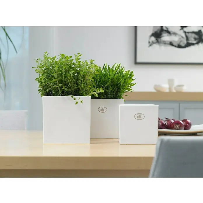 SK Četvrtasta tegla za cvijeće Latina - Vanjska dimenzija (D x Š x V): 15 x 15 x 15 cm, Keramika, Bijele boje, Sjaj - Živopisni prikaz