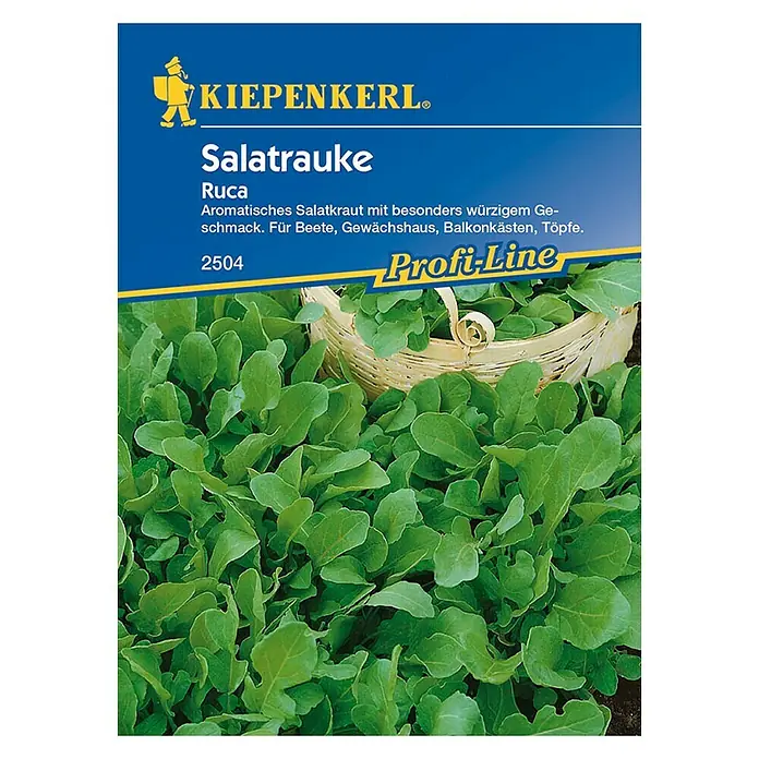 Kiepenkerl Profi-Line Gemüsesamen Rucola - Eruca sativa, Erntezeit: März - Vorderansicht