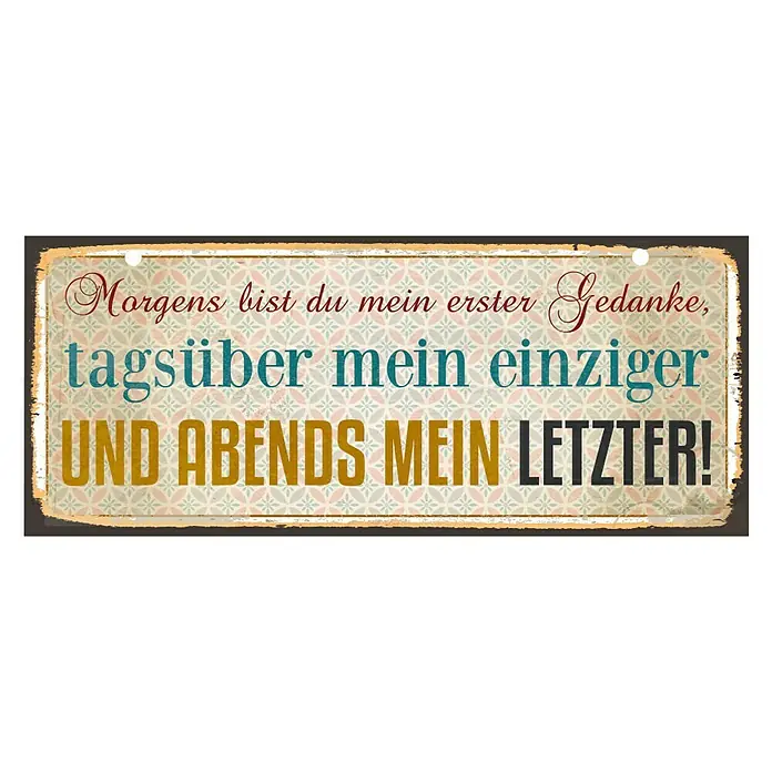 Blechschild - Antik/Vintage/Retro, 60 x 25 cm, Gedanken über die Liebe - Vorderansicht