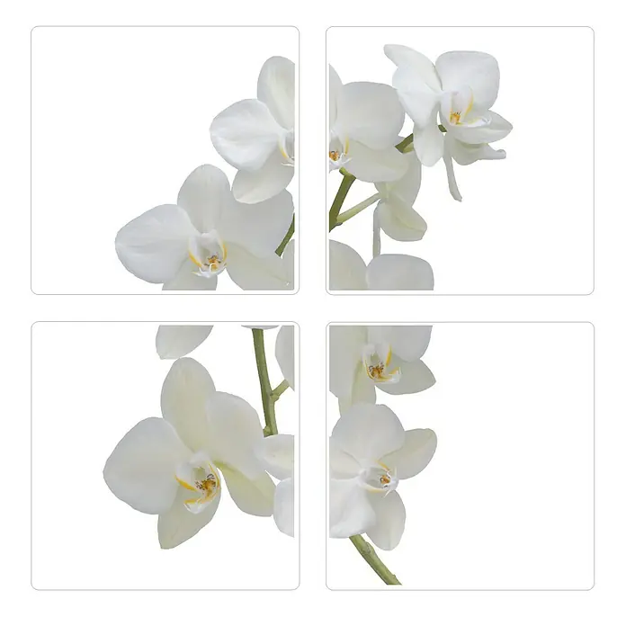 Vinilo para azulejos - Orquídea, 15 x 15 cm, 4 piezas