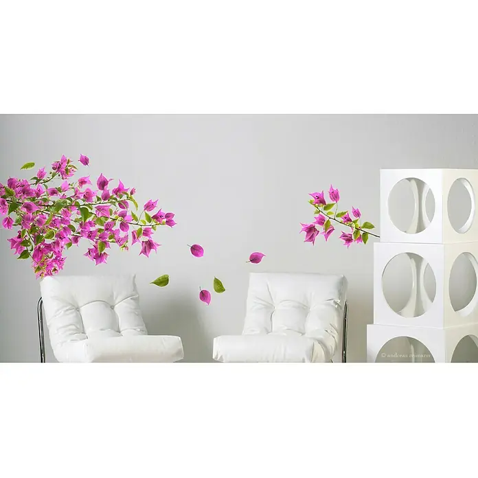 Wandtattoo - Bougainvillea - Stimmungsaufnahme