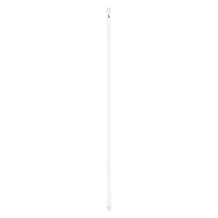 Osram LED-Röhre SubstiTube Star ST8S-EM 20 - 8 W, Länge: 603 mm, Tageslichtweiß, 800 lm - Linke Seitenansicht