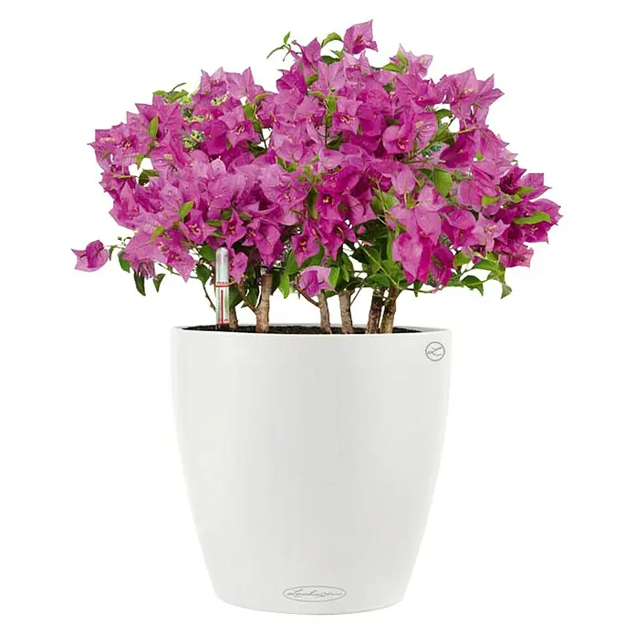 Lechuza Color Pflanztopf Classico - Außenmaß (Ø x H): 28 x 26 cm, Kunststoff, Weiß - Vorderansicht
