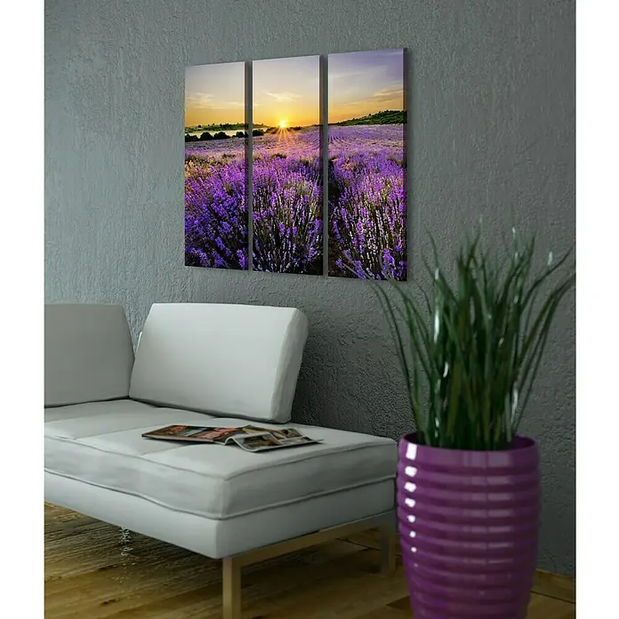 Glasbild - Beautiful Lavender, B x H: 90 x 80 cm, 3 -tlg. - Stimmungsaufnahme