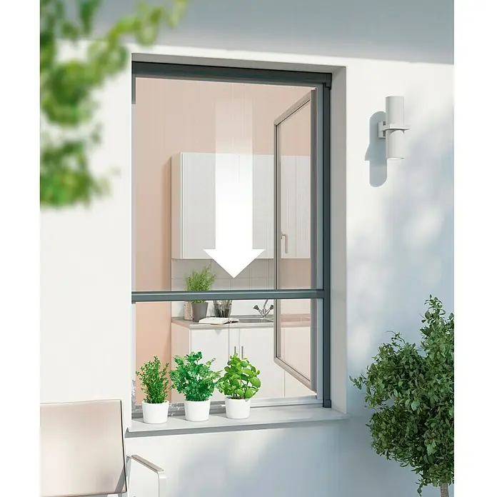 Windhager Insektenschutz-Fensterrollo Plus - 160 x 160 cm, Anthrazit, Klebebefestigung