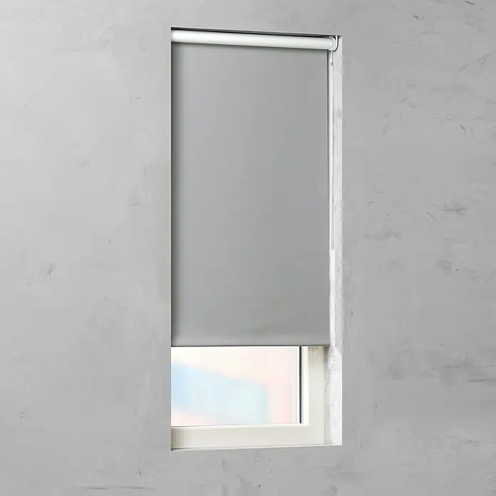 Expo Ambiente Rollo - B x H: 80 x 190 cm, Grau, Verdunkelnd - Vorderansicht