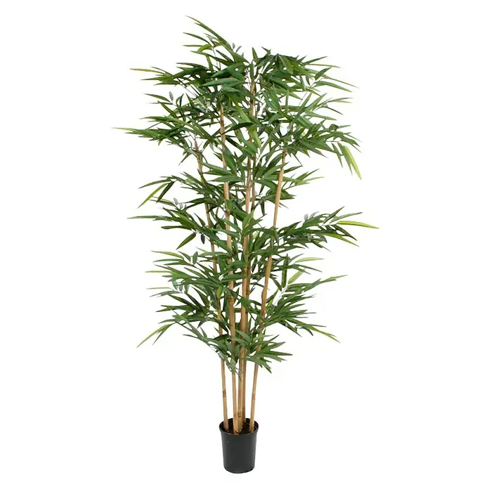Planta artificial Bambú verde - Altura: 180 cm, Verde, Plástico, Diámetro: 75 cm