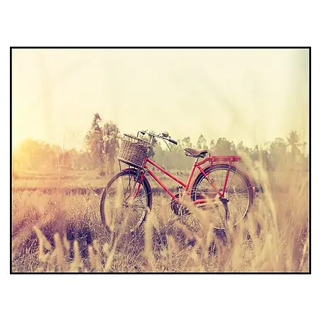 Cuadro de vidrio Red cycle