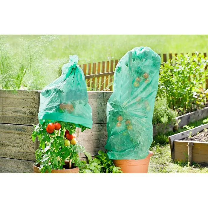 Windhager Tomaten-Vliesschlauch Supergrow - 10 x 0,65 m