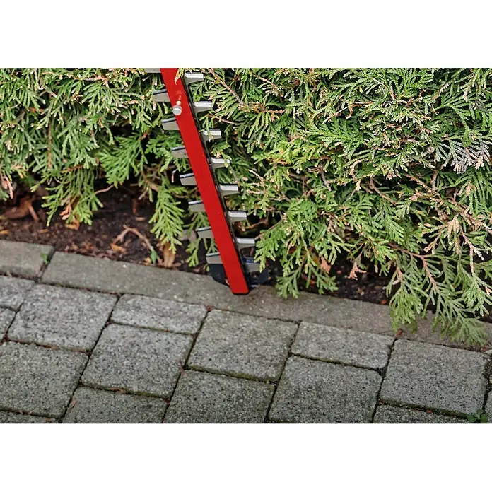 Einhell Power X-Change Akku-Heckenschere GE-CH 36/65 Li-Solo - 36 V, Ohne Akku, Schnittlänge: 65 cm - Anwendungsbeispiel