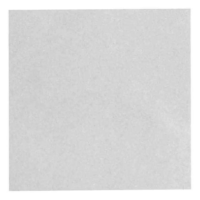Dekorativna ploča od polistirola Owocor - 50 cm x 100 cm x 2,5 mm, Ravni oblik, Prozirno, Polistirol
