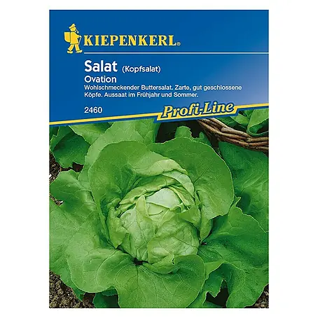 Kiepenkerl Profi-Line Salatsamen Kopfsalat Ovation