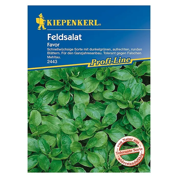 Kiepenkerl Profi-Line Salatsamen Feldsalat Favor - Valerianella locusta, Erntezeit: Ganzjährig - Vorderansicht