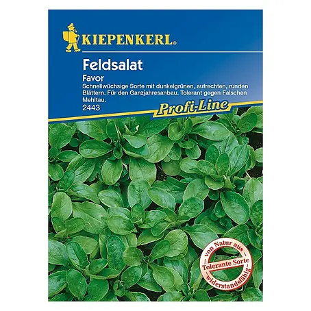 Kiepenkerl Profi-Line Salatsamen Feldsalat Favor