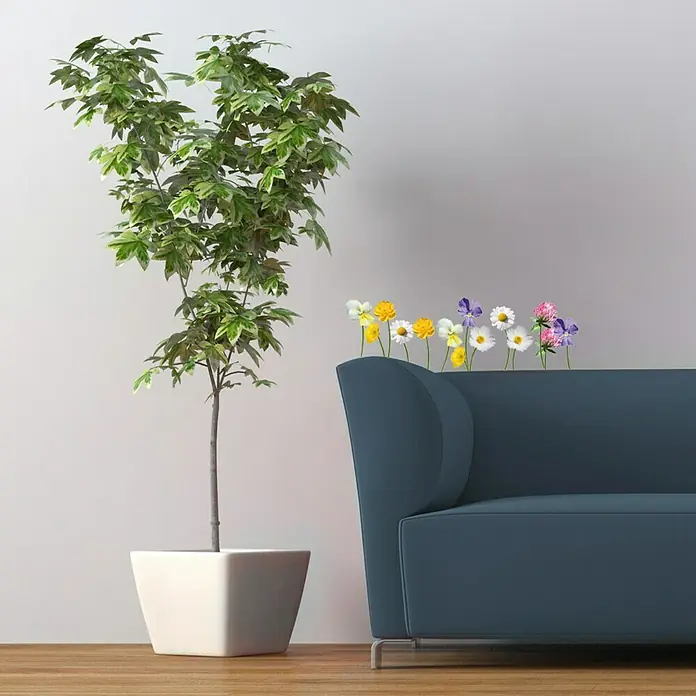 Adhesivos decorativos - Flores silvestres - Foto ambiente
