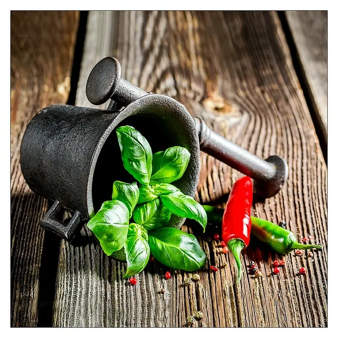 Glasbild - Green Basil In Bowl II, B x H: 20 x 20 cm - Vorderansicht