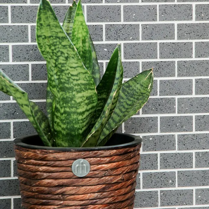Mosaikfliese Brick Artifical XCM ASMB3 - 30 x 30 cm, Grau, Glänzend - Detailaufnahme