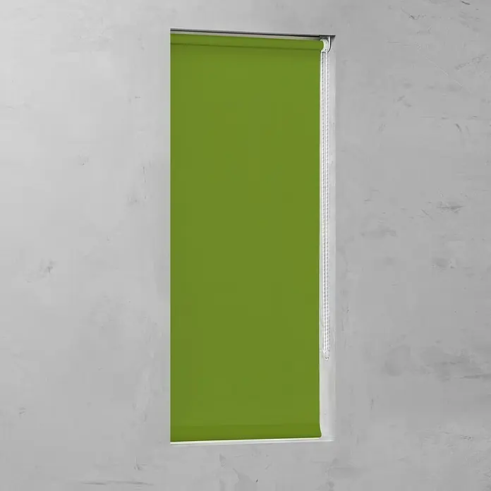 Expo Ambiente Rollo - B x H: 60 x 190 cm, Grün - Vorderansicht
