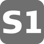 S1