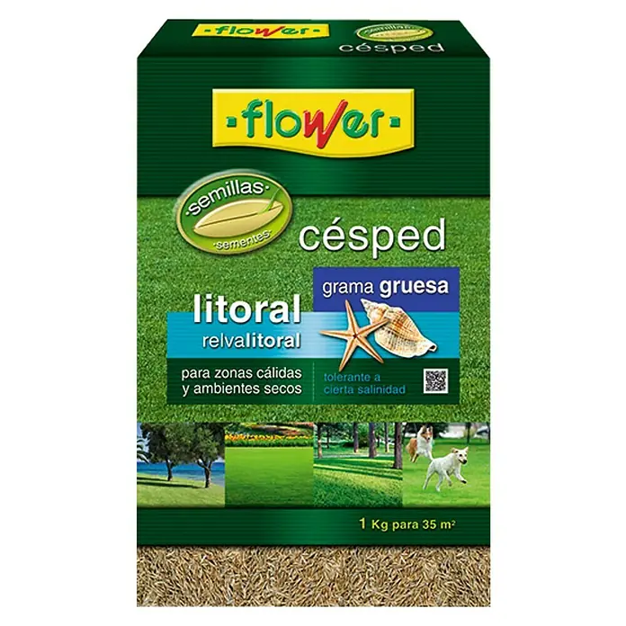 Flower Semillas de césped Litoral grama gruesa - 1 kg, 35 m²