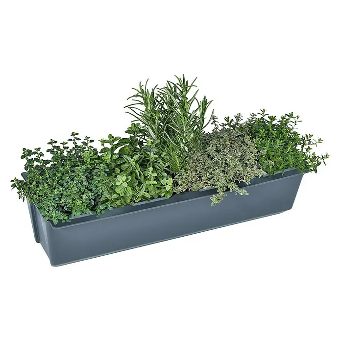 Geli Umetak za kutiju za biljke Easy - Vanjska dimenzija (D x Š x V): 37 x 10 x 10 cm, Plastika, Antracit