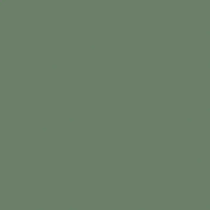 SCHÖNER WOHNEN-Farbe Wandfarbe Designfarbe - Ausgeglichenes Piniengrün, 2,5 l, Matt