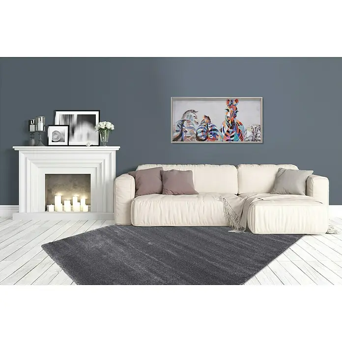 Kurzflorteppich Softtouch - Grau, 150 x 80 cm, 100 % Polypropylen (Flor) - Stimmungsaufnahme