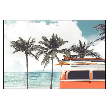 Cuadro de vidrio Palms