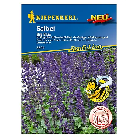 Kiepenkerl Profi-Line Blumensamenmischung Salbei Big Blue