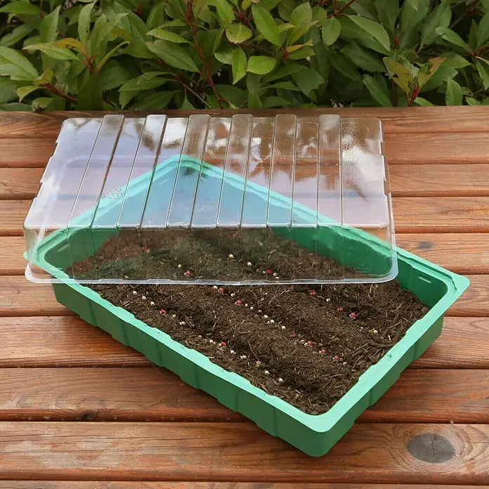 Floraworld Sobni staklenik - D x Š x V: 35,5 x 22 x 12,5 cm, Zelene boje, S 28 udubljenja - Proizvod u upotrebi