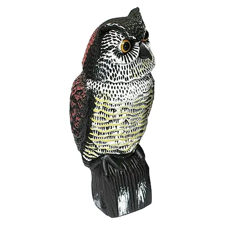 Búho Espanta pájaros