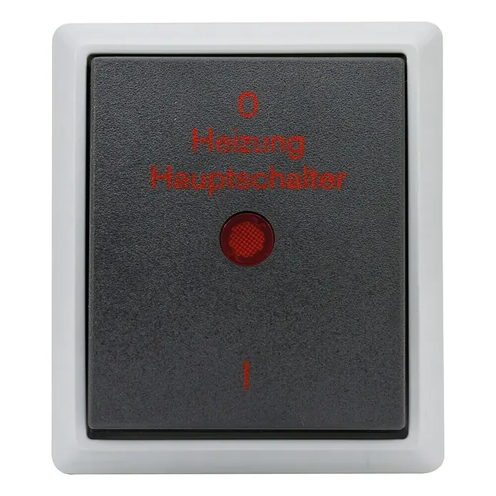 Aqua Form Feuchtraum-Heizungsnotschalter - Grau, Anthrazit - Vorderansicht