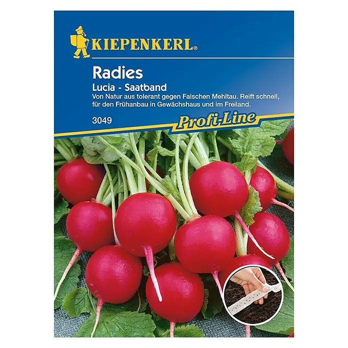 Kiepenkerl Profi-Line Gemüsesamen Lucia - Raphanus sativus var. sativus, Erntezeit: April - Vorderansicht