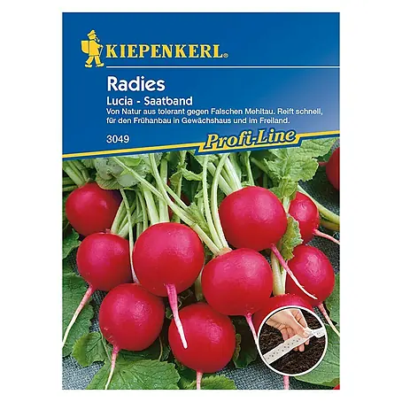 Kiepenkerl Profi-Line Gemüsesamen Lucia