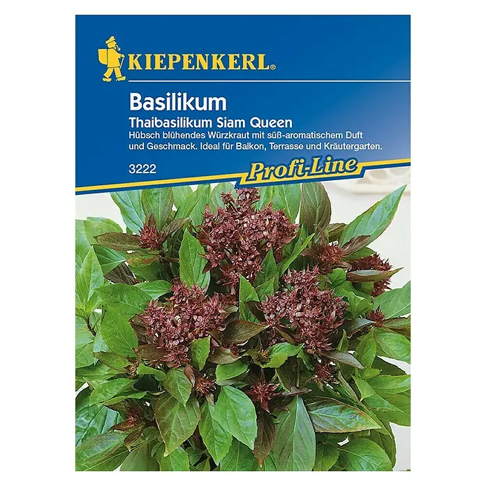 Kiepenkerl Profi-Line Kräutersamen Thaibasilikum - Ocimum basilicum, Saatzeit: April, Erntezeit: Juli - Vorderansicht