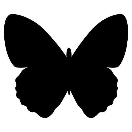 Pizarra de pared