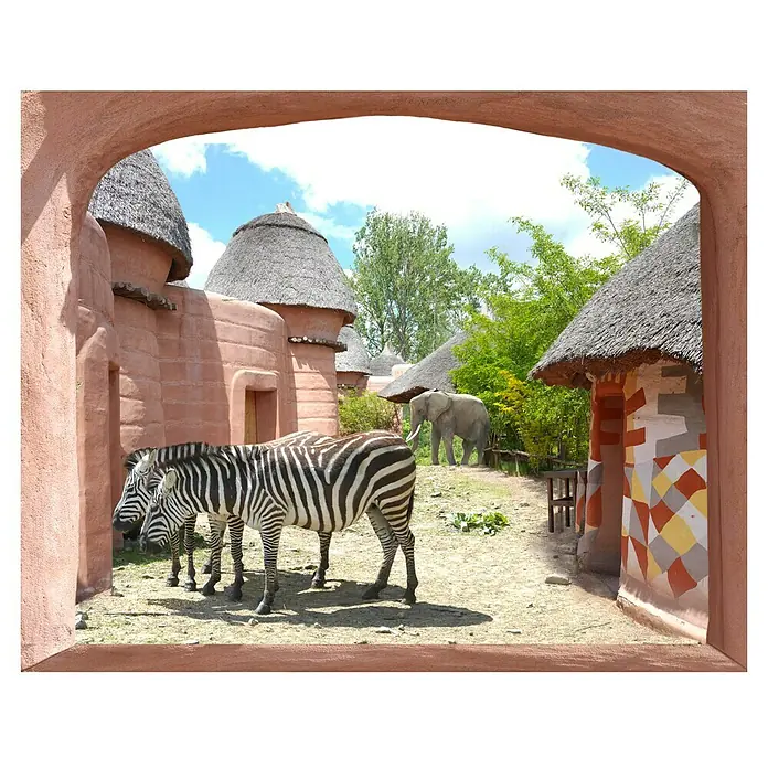 Vinilo forma ventana - Safari, 75 x 60 cm - Vista descendente