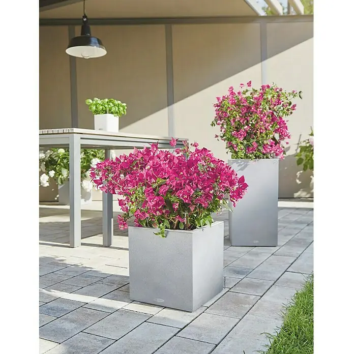 Lechuza Color Pflanzsäule eckig Canto - Außenmaß (L x B x H): 40 x 40 x 41 cm, Kunststoff, Steingrau - Stimmungsaufnahme