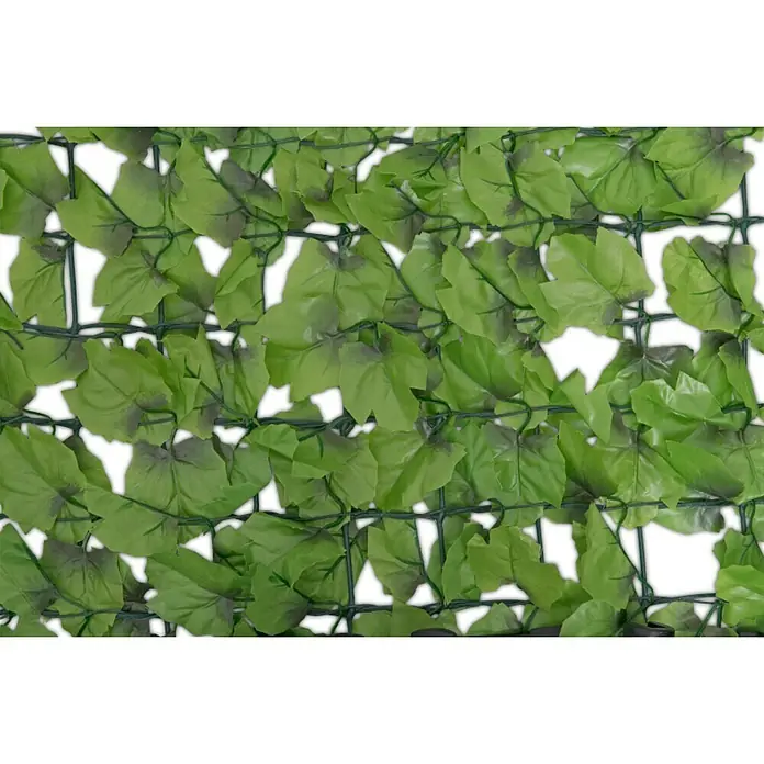 Windhager Sichtschutzmatte Wein - L x H: 3 x 1,5 m, Grün, Kunststoff