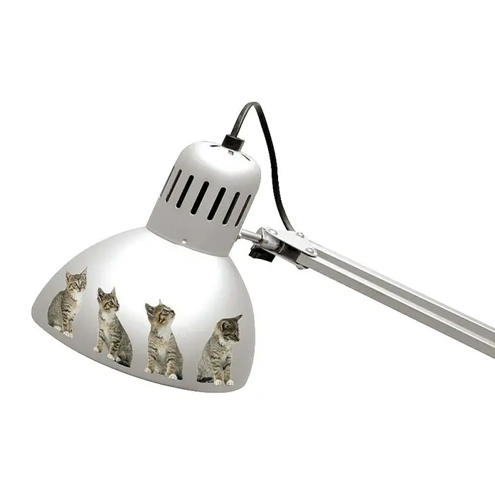 Adhesivos decorativos - Gatos - Foto ambiente
