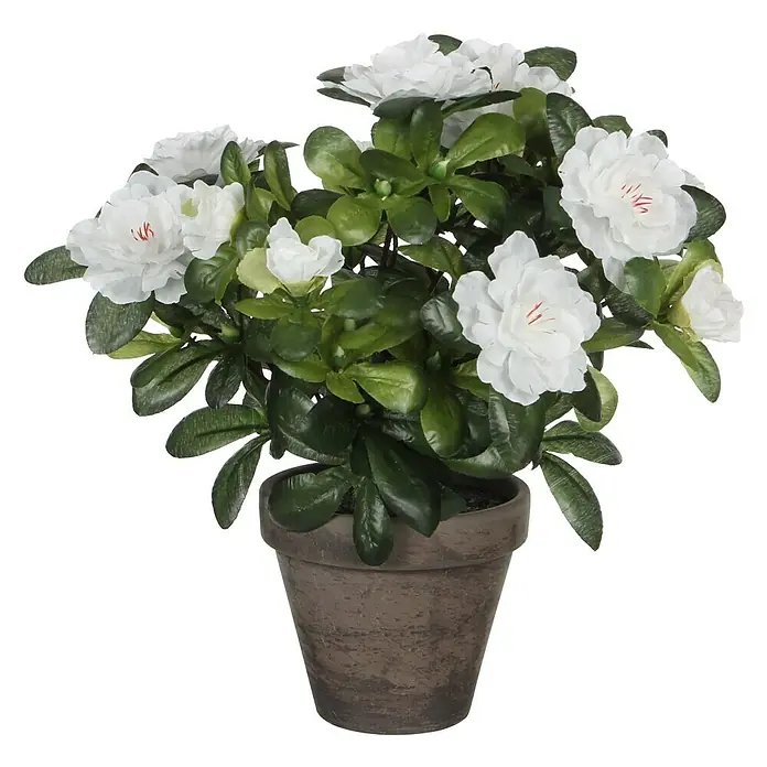 Planta artificial Azalea - Altura: 27 cm, Blanco, Plástico