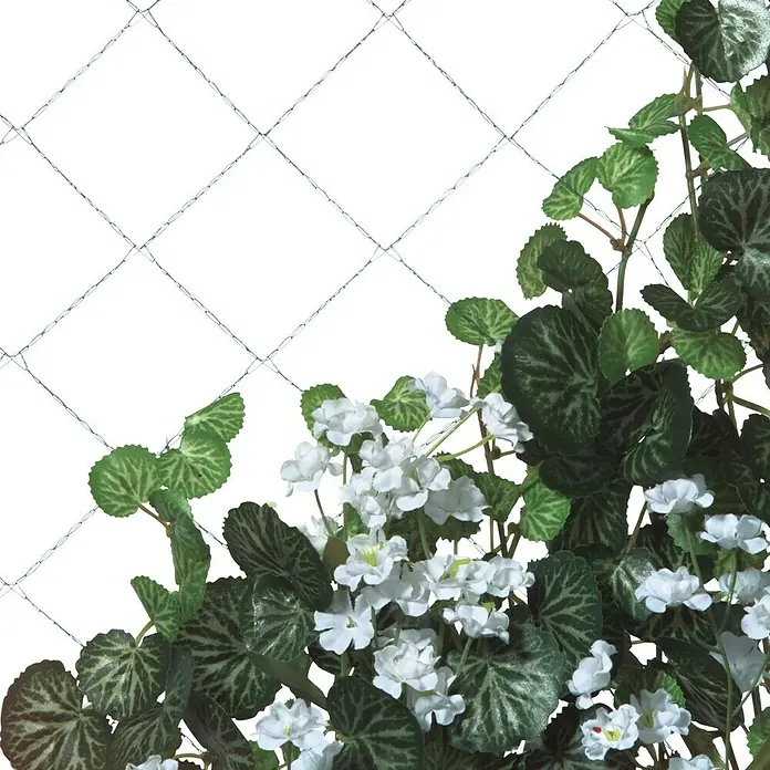 Windhager Rankhilfe - 10 x 2 m, Kunststoff - Anwendungsbeispiel