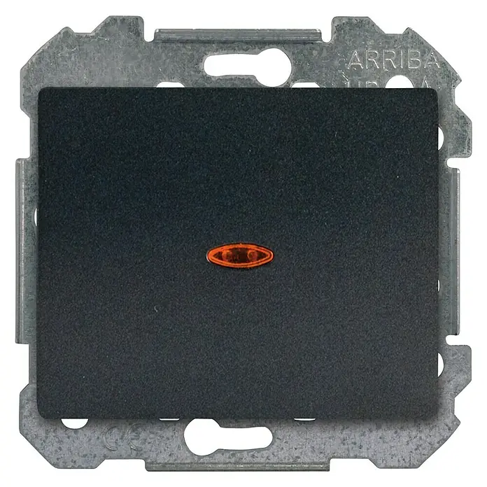 Siemens Delta Iris Conmutador con luz - Antracita