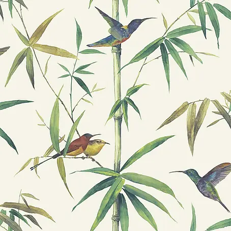 Papel pintado Colibrí