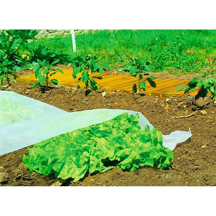 Nortene Film transparente crecimiento Climatex - L x An: 10 x 2 m, Blanco